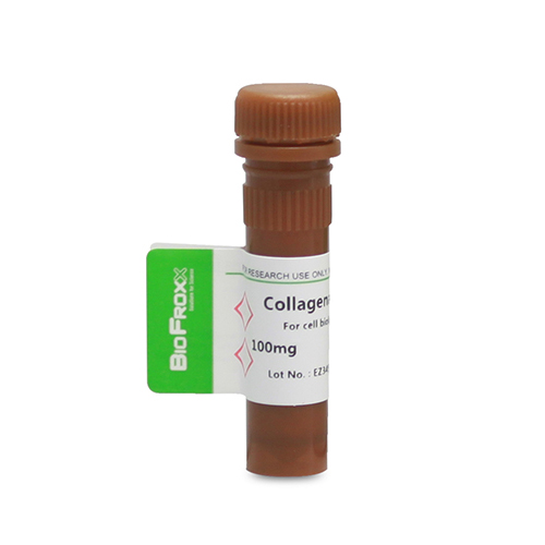 2091MG100，BioFroxx，胶原酶IV型Collagenase IV